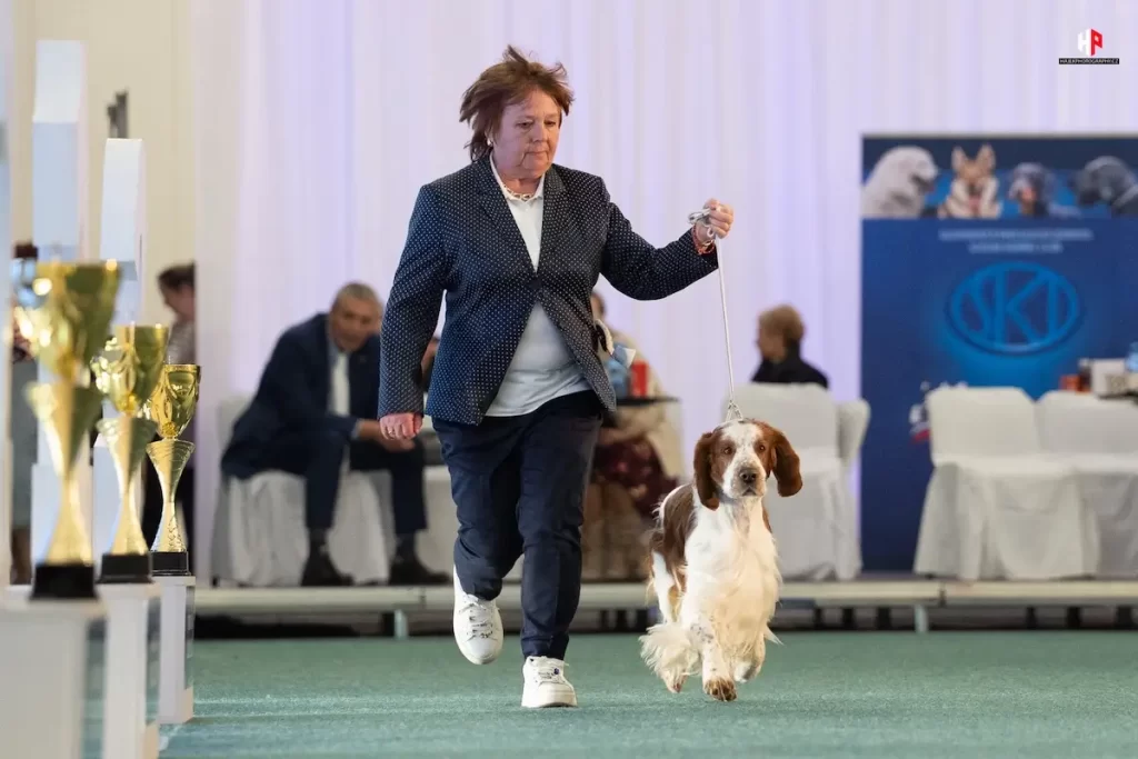 28.02.2025 VICTORY DOG SHOW