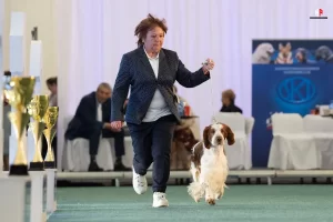 28.02.2025 VICTORY DOG SHOW