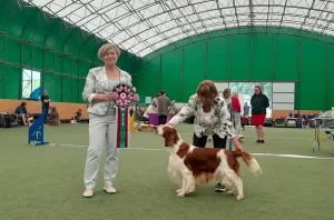 Beroun Klubová výstava 12.07.2025