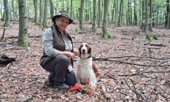 Hunting exams for small breeds