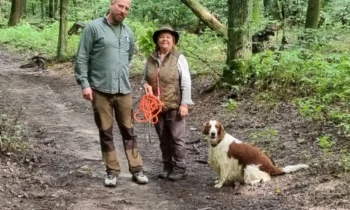 Forest trials of small breeds Devínska Kobyla